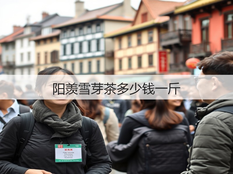 阳羡雪芽茶多少钱一斤(图3) 阳羡雪芽茶多少钱一斤(图3)