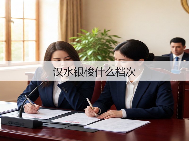 汉水银梭什么档次(图2)