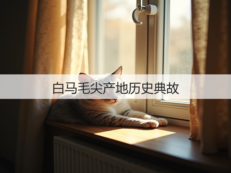 白马毛尖产地历史典故(图3)