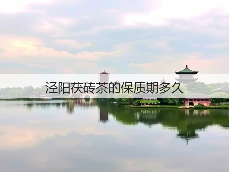 泾阳茯砖茶的保质期多久(图3) 泾阳茯砖茶的保质期多久(图3)