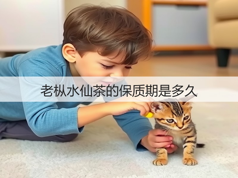 老枞水仙茶的保质期是多久(图2)