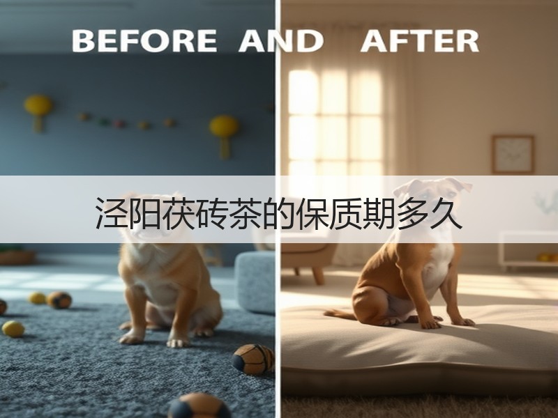 泾阳茯砖茶的保质期多久