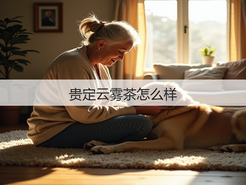 贵定云雾茶怎么样(图2) 贵定云雾茶怎么样(图2)