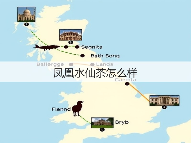 凤凰水仙茶怎么样(图3)