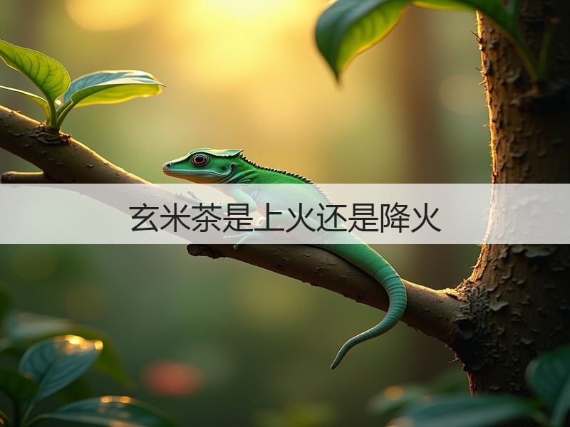 玄米茶是上火还是降火(图2)