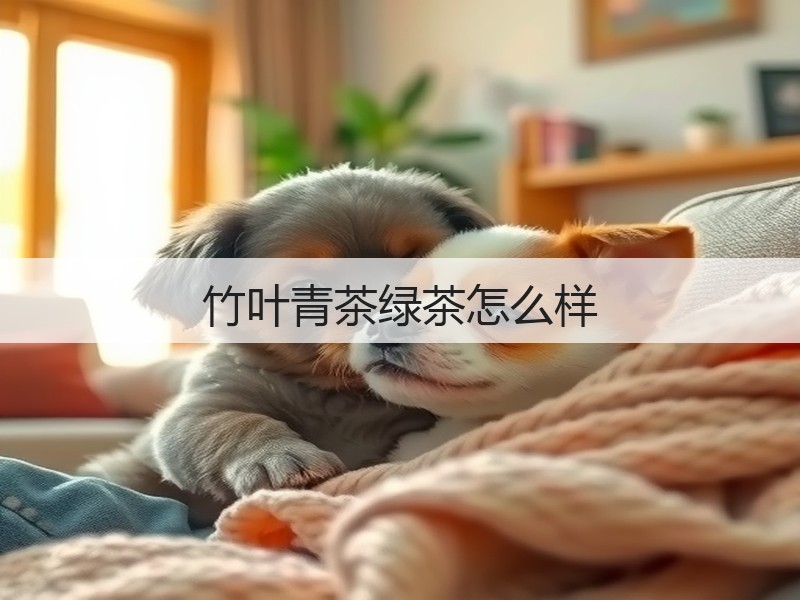 竹叶青茶绿茶怎么样(图2)