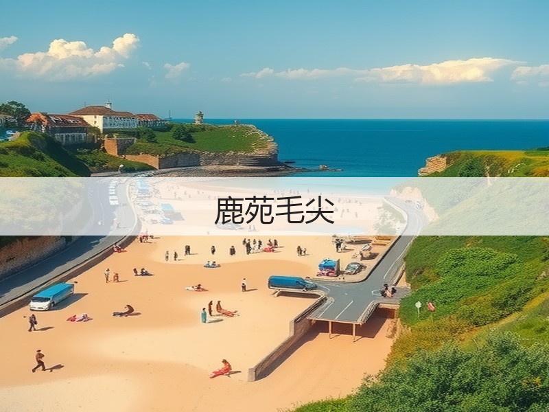 鹿苑毛尖(图3) 鹿苑毛尖(图3)