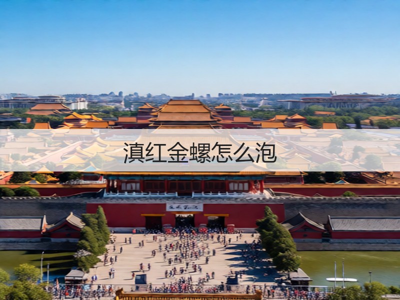滇红金螺怎么泡(图2) 滇红金螺怎么泡(图2)