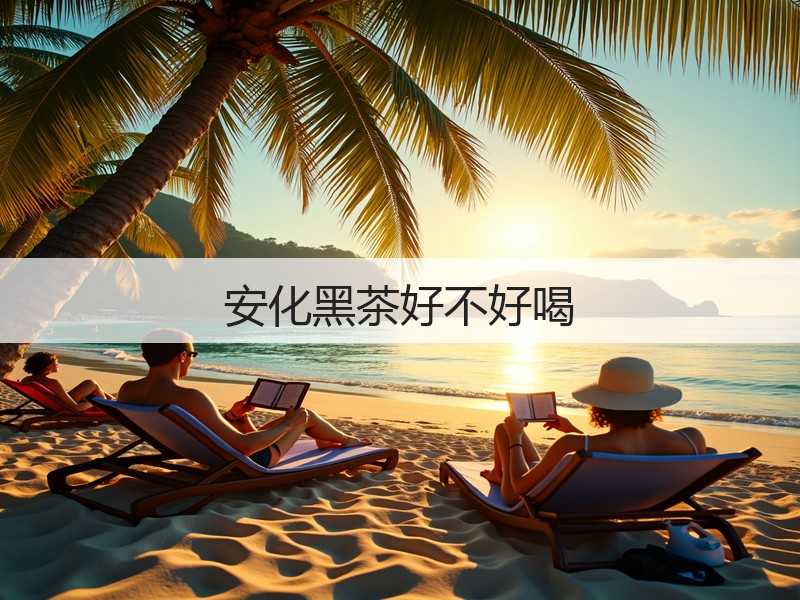 安化黑茶好不好喝(图3) 安化黑茶好不好喝(图3)
