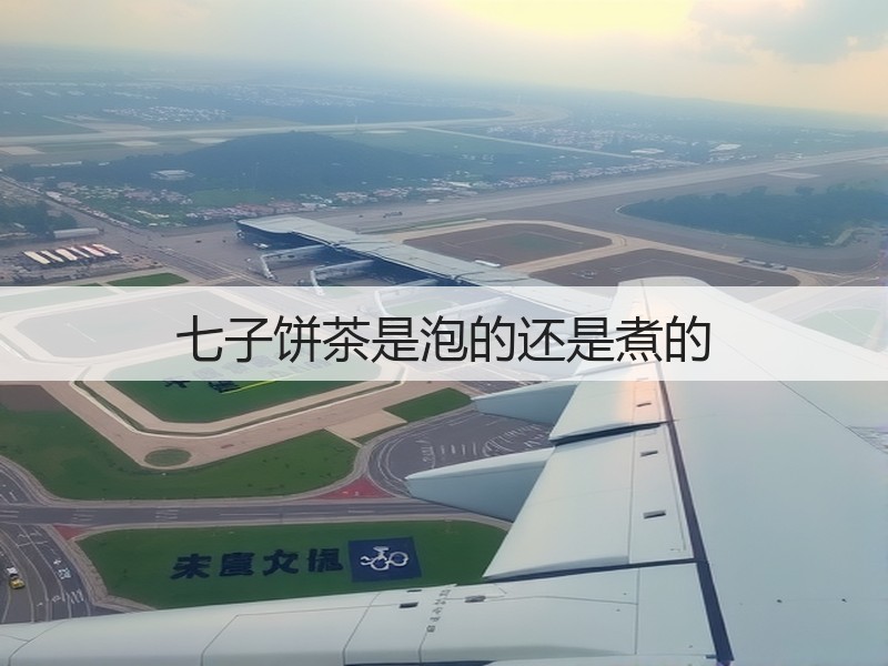 七子饼茶是泡的还是煮的(图3)