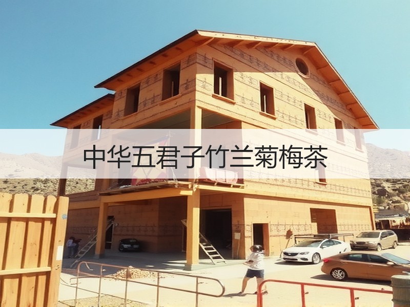 中华五君子竹兰菊梅茶