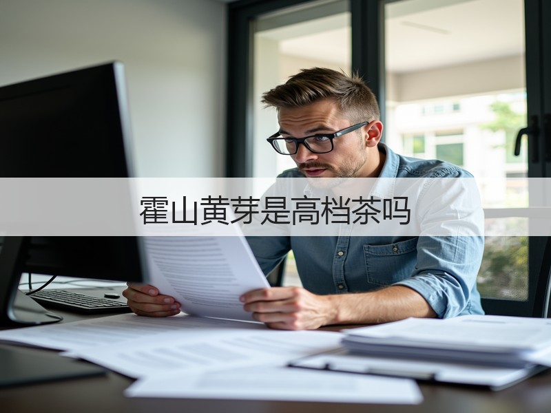 霍山黄芽是高档茶吗(图3)
