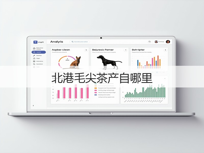 北港毛尖茶产自哪里(图2) 北港毛尖茶产自哪里(图2)