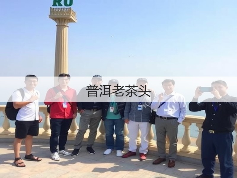 普洱老茶头(图2)