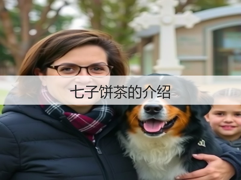 七子饼茶的介绍