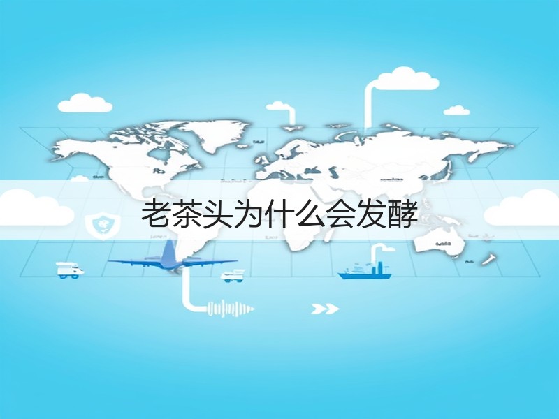 老茶头为什么会发酵(图2)