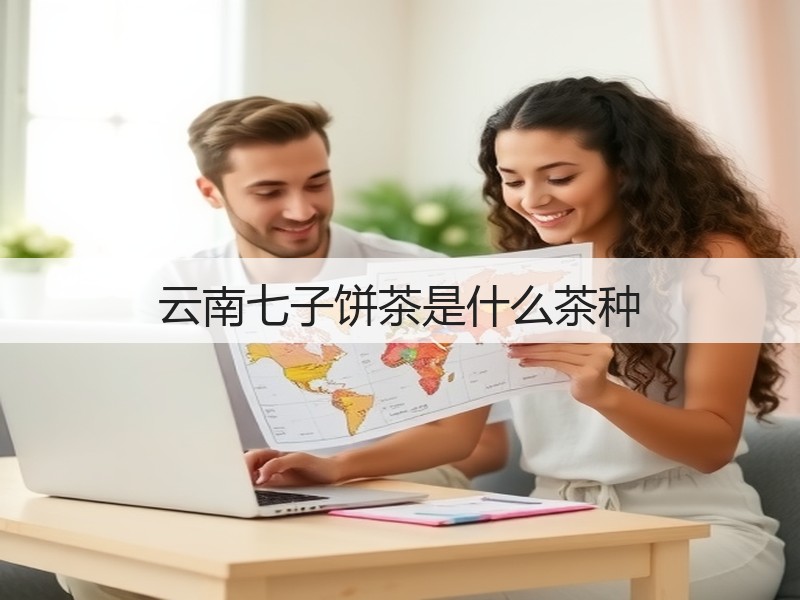 云南七子饼茶是什么茶种(图3)