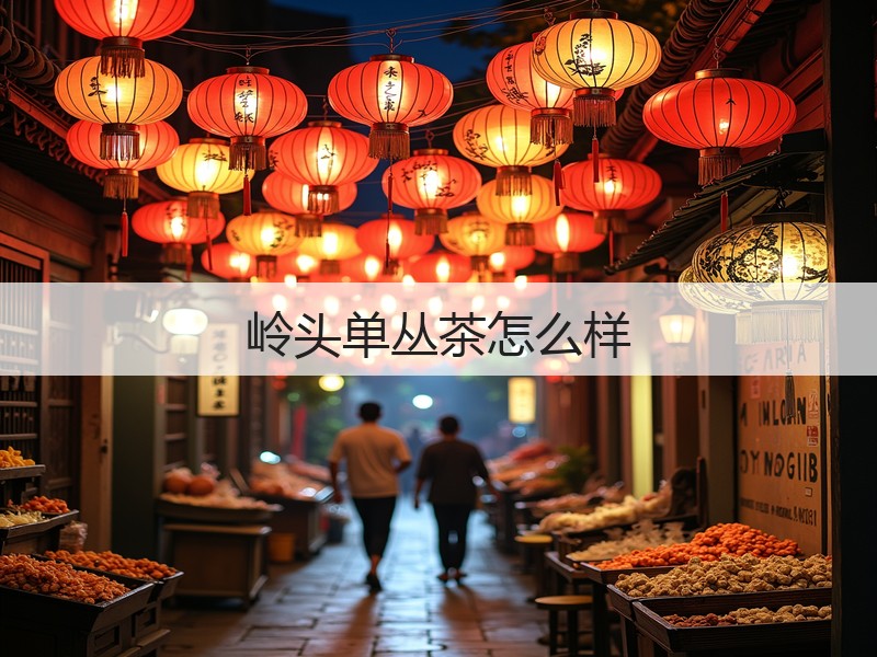 岭头单丛茶怎么样(图3) 岭头单丛茶怎么样(图3)