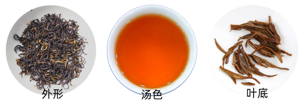 祁红香螺品质.png