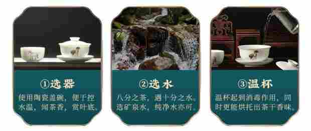 烟小种品茗1.png