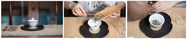 信阳白茶品茗1.png 信阳白茶品茗1.png