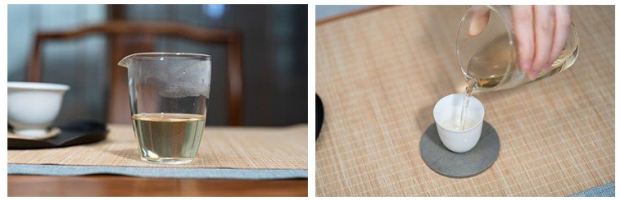 信阳白茶品茗2.png 信阳白茶品茗2.png