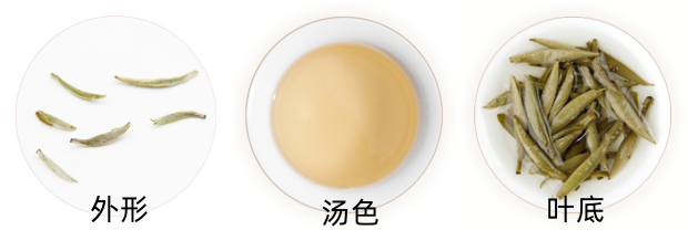 政和白毫银针外形.png 政和白毫银针外形.png