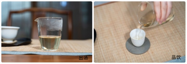 政和白毫银针品茗2.png 政和白毫银针品茗2.png