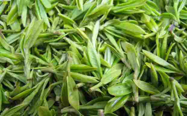 海马宫茶
