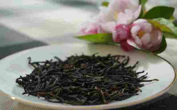 凤凰单丛茶