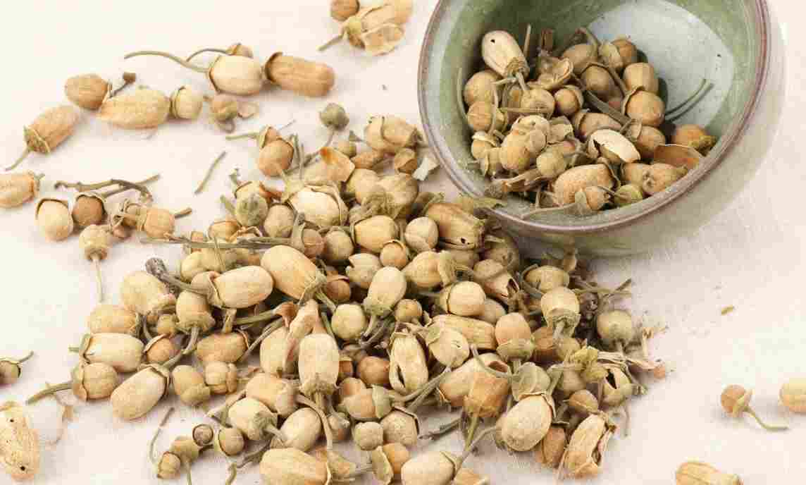 玳玳花茶