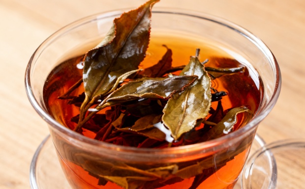 老青茶能喝吗.jpg 老青茶能喝吗.jpg