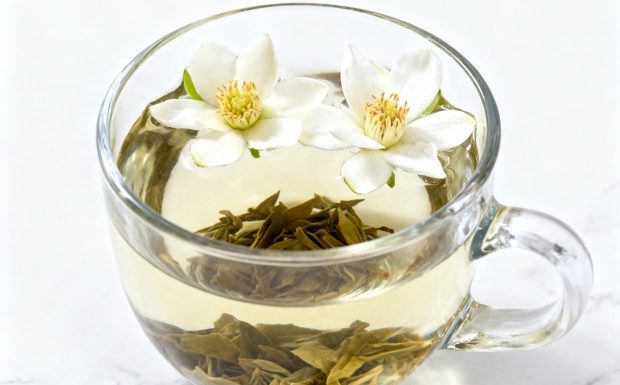 珠兰花茶怎么样