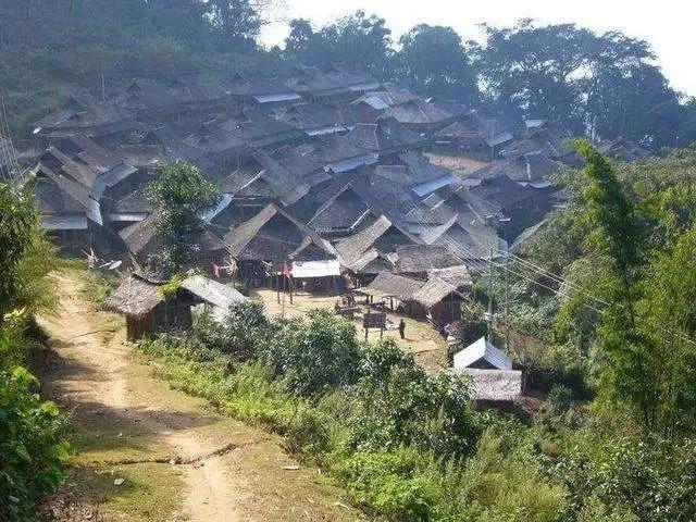 探秘老班章核心产地与独特魅力