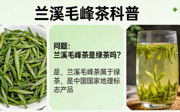 生成兰溪毛峰茶图片_副本.jpg