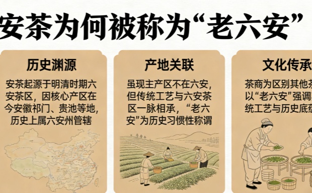 生成解释图片_副本.jpg