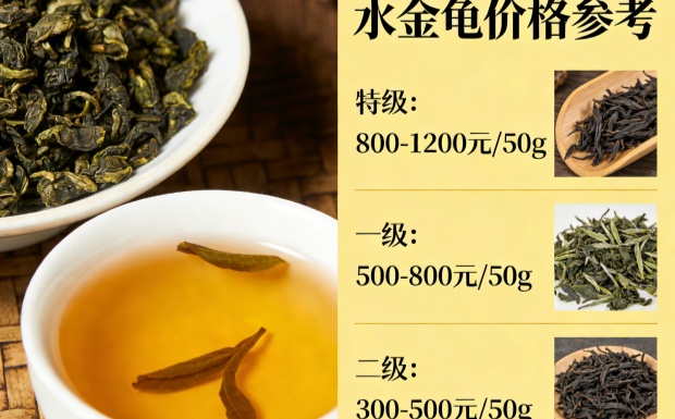 生成水金龟价格图片_副本.jpg