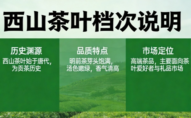 新对话_副本.jpg