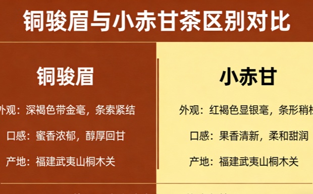 新对话_副本.jpg