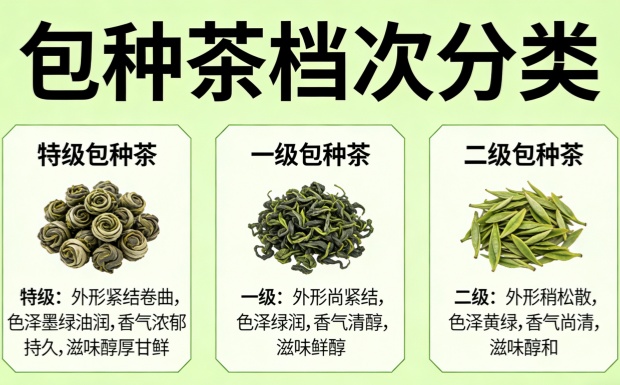 新对话-2_副本.jpg