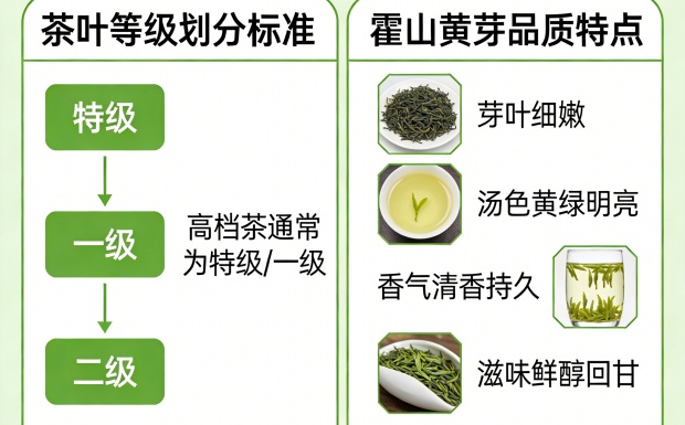 新对话_副本.jpg