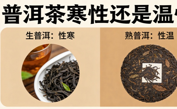 新对话_副本.jpg 新对话_副本.jpg