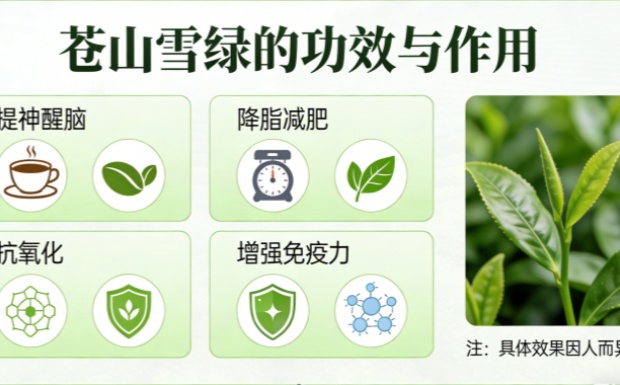 生成苍山雪绿图片_副本.jpg