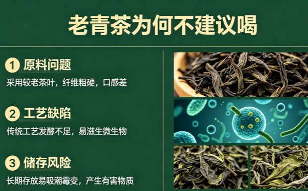 老青茶为何不建议喝