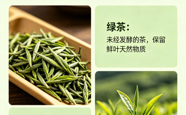 碧螺春是不是绿茶