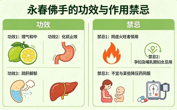 永春佛手的功效与作用禁忌